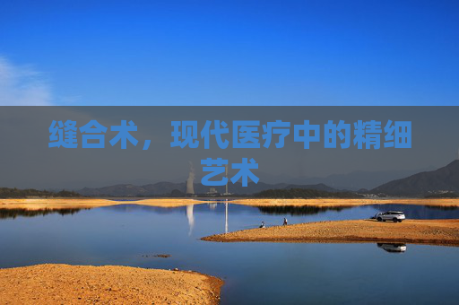 缝合术，现代医疗中的精细艺术