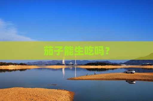 茄子能生吃吗？