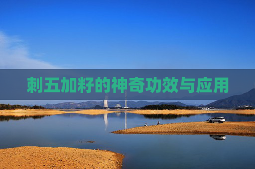 刺五加籽的神奇功效与应用