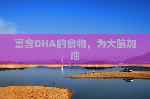 富含DHA的食物，为大脑加油