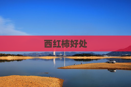 西红柿好处