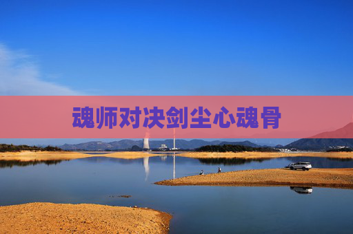 魂师对决剑尘心魂骨