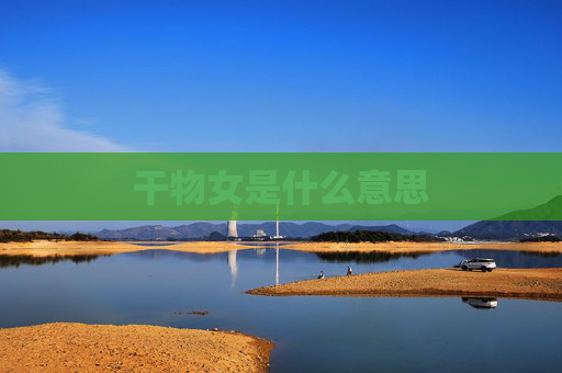 干物女是什么意思
