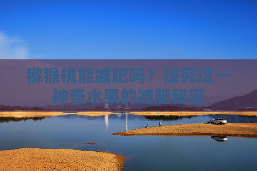 猕猴桃能减肥吗？探究这一神奇水果的减肥秘密