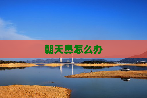 朝天鼻怎么办