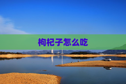 枸杞子怎么吃