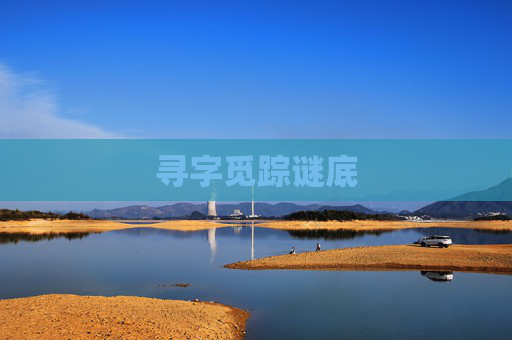 寻字觅踪谜底
