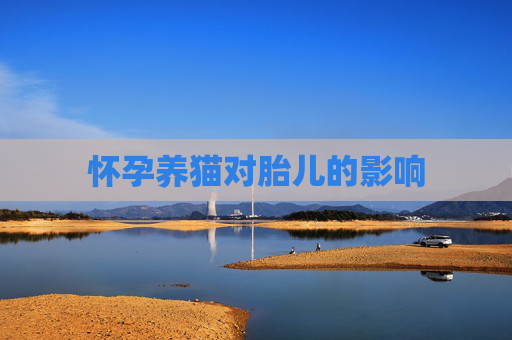 怀孕养猫对胎儿的影响