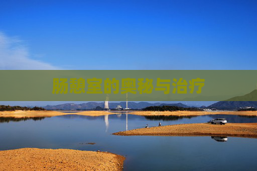 肠憩室的奥秘与治疗