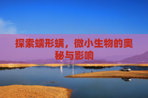 探索蠕形螨，微小生物的奥秘与影响