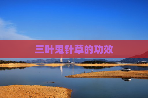三叶鬼针草的功效