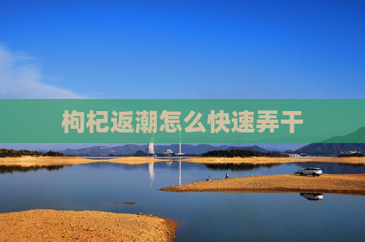 枸杞返潮怎么快速弄干
