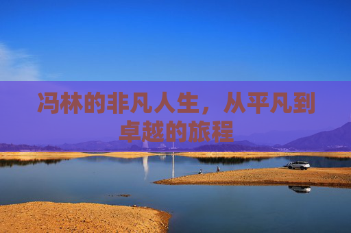 冯林的非凡人生，从平凡到卓越的旅程