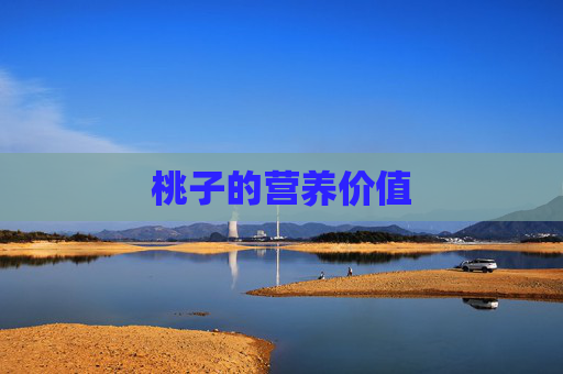 桃子的营养价值