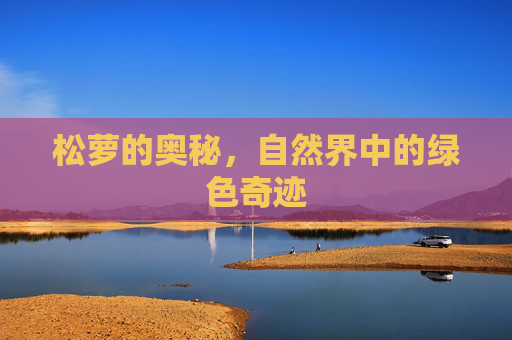 松萝的奥秘，自然界中的绿色奇迹