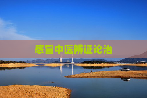 感冒中医辨证论治