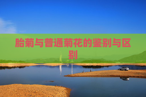 胎菊与普通菊花的鉴别与区别