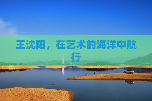 王沈阳，在艺术的海洋中航行