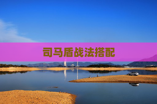 司马盾战法搭配