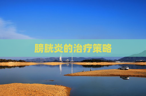 膀胱炎的治疗策略