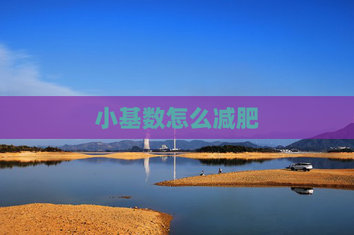 小基数怎么减肥