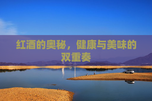 红酒的奥秘，健康与美味的双重奏
