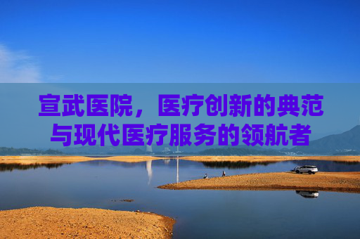宣武医院，医疗创新的典范与现代医疗服务的领航者