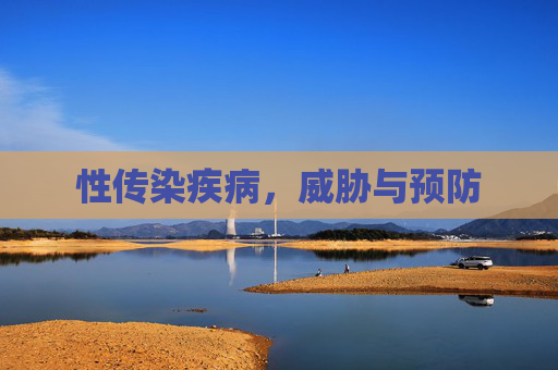性传染疾病，威胁与预防