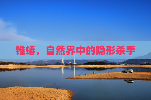 锥蝽，自然界中的隐形杀手