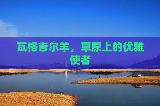 瓦格吉尔羊，草原上的优雅使者