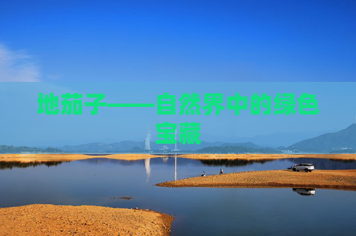 地茄子——自然界中的绿色宝藏