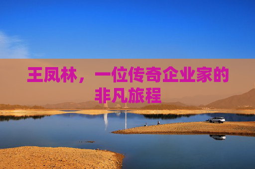 王凤林，一位传奇企业家的非凡旅程