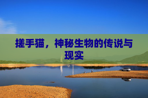 搓手猫，神秘生物的传说与现实