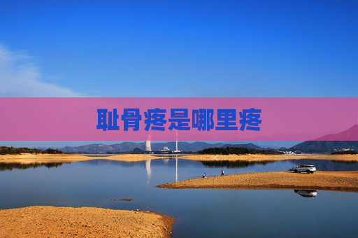 耻骨疼是哪里疼