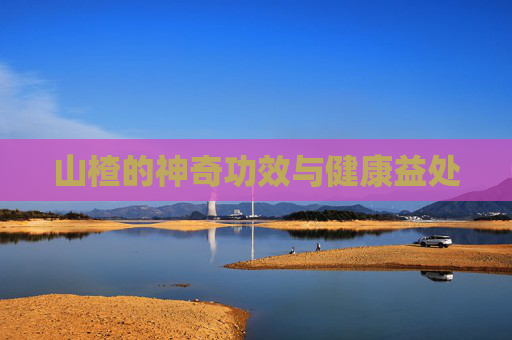 山楂的神奇功效与健康益处