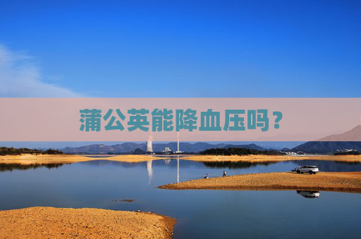 蒲公英能降血压吗？