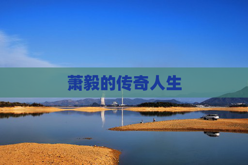 萧毅的传奇人生