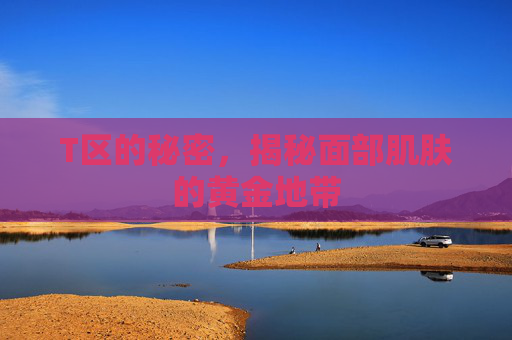 T区的秘密，揭秘面部肌肤的黄金地带
