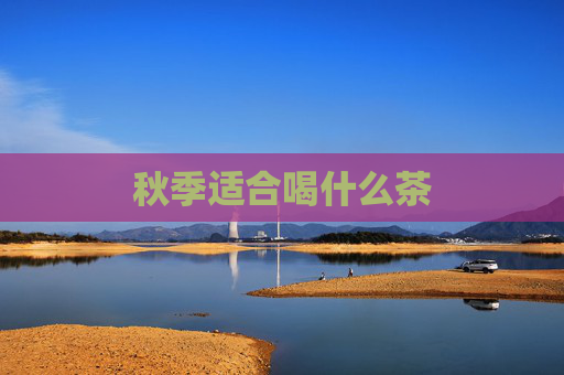 秋季适合喝什么茶