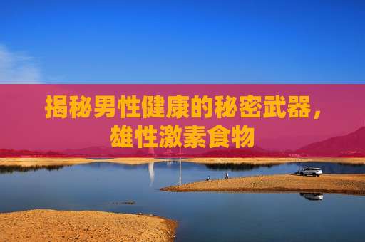 揭秘男性健康的秘密武器，雄性激素食物