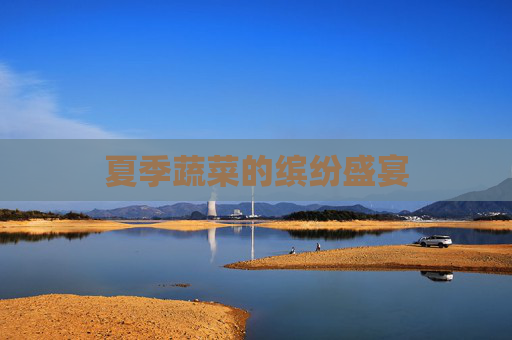 夏季蔬菜的缤纷盛宴