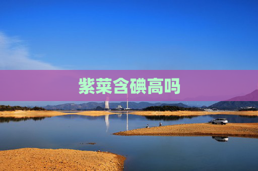 紫菜含碘高吗