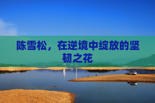 陈雪松，在逆境中绽放的坚韧之花