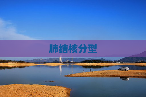 肺结核分型