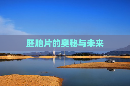 胚胎片的奥秘与未来