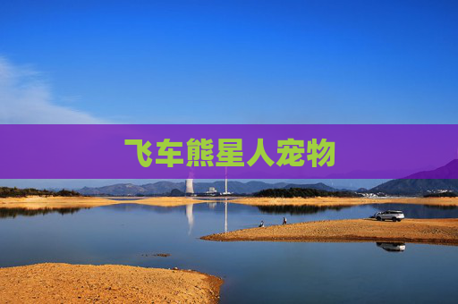飞车熊星人宠物