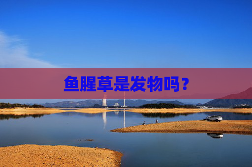 鱼腥草是发物吗？