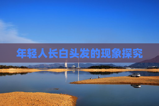 年轻人长白头发的现象探究