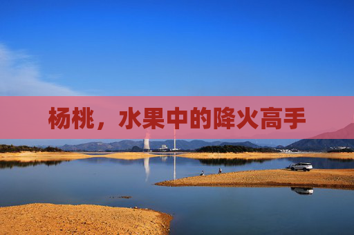 杨桃，水果中的降火高手