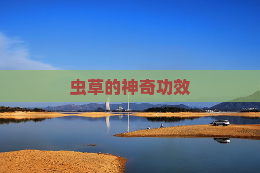 虫草的神奇功效